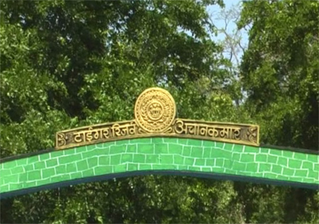 अचानकमार टाइगर रिजर्व के जंगल से अधजली हालत में मिले 500 और 100 के पुराने नोट