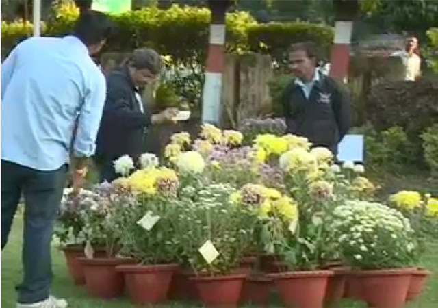 भोपाल में गुलदाउदी एग्जीबिशन की शुरूआत