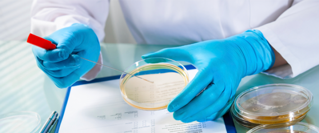 कोलकाता: हिंदुस्तान यूनिलीवर लिमिटेड की रेड लेबल चाय फूड लेबोरेटरी टेस्ट में फेल