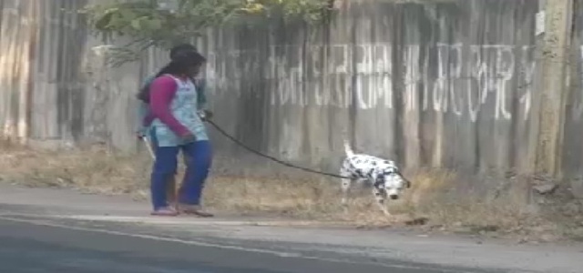 कुत्ते ने यदि खुले शौच की तो भरना होगा जुर्माना