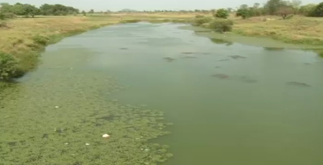 नर्मदा को प्रदूषण से बचाने में नाकाम प्रदेश सरकार