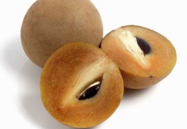 सेहत के लिए बेहद फायदेमंद है चीकू..