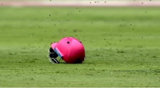 श्रीलंका और साउथ अफ्रीका के बीच क्रिकेट मैच के दौरान ‘बी’ अटैक