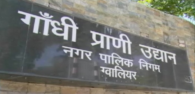 बंद हो सकता है ग्वालियर का चिड़ियाघर, जू अथॅारिटी ने लिखा पत्र