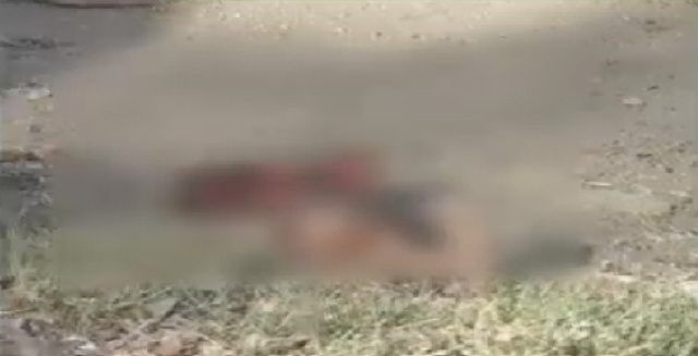 MY हॉस्पिटल की बड़ी लापरवाही, नवजात को उठा ले गया सुअर