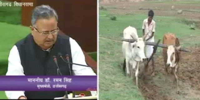 छग: बजट में कृषि के लिए 10 हजार 433 करोड़ 42 का प्रावधान