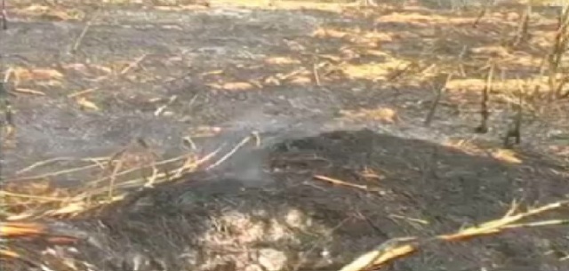 सावधान! खेत में बचे अवशेषों को जलाने से नष्ट हो रहे मिट्टी के पोषक तत्व