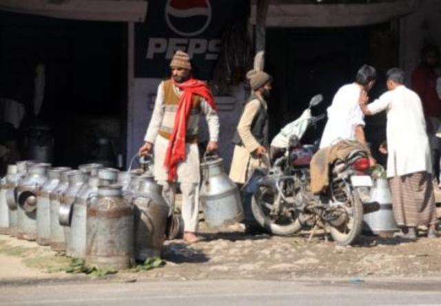 यहां के दूध वेंडर वसूलेंगे सर्विस टैक्स, विरोध में उतरे सामाजिक संगठन