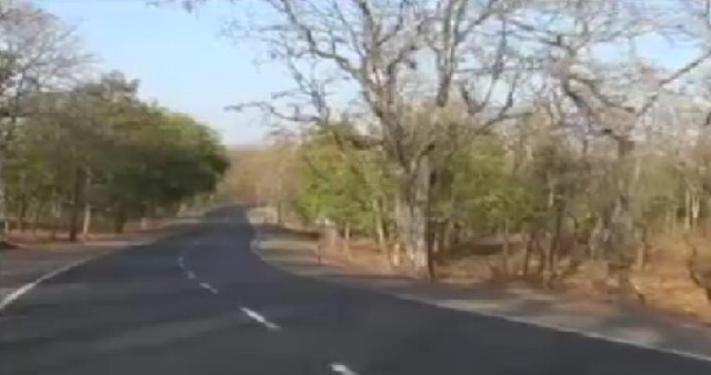 बैतूल: धारा खोह में पिकनिक मनाने गए कई जोड़ों के साथ आपराधिक घटनाएं घटी