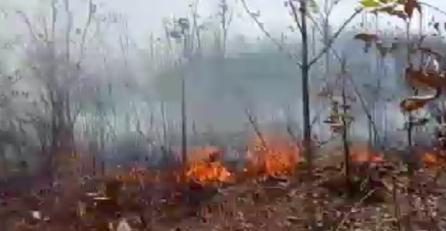 गर्मी शुरू होते ही बढ़ने लगी जंगलों में आग की घटनाएं