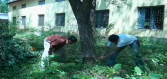 विकास की आरी से काटे जा रहे जीवन उपयोगी पेड़