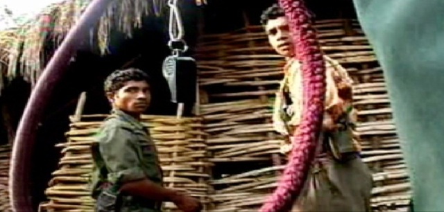 नई तकनीक का इस्तेमाल कर नक्सलियों को दे सकते है मात