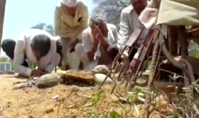 एक ऐसा गांव  .. जहां मुफ्त में मिलता है दूध