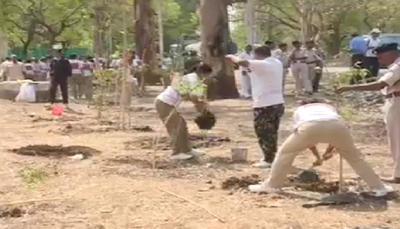 स्वच्छता के बाद अब ग्रीनरी में अव्वल बनने की राह पर इंदौर