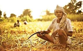 महाराष्ट्र सरकार का नया फैसला बस इन्ही किसानों का होगा कर्ज माफ