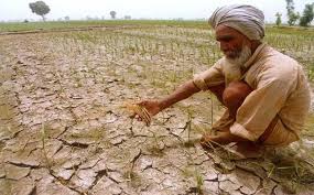 कर्ज माफी से भी किसानों को राहत नहीं मिलेगी – रिपोर्ट