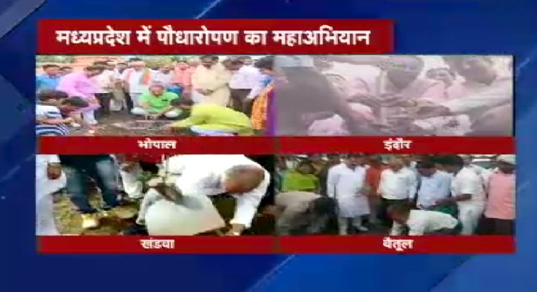प्रदेशभर में दिखा महापौधारोपण के लिए समर्पण