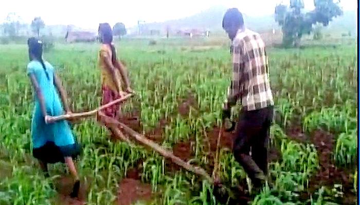 खेत में बैल की जगह काम कर रही लड़कियों पर सियासत तेज