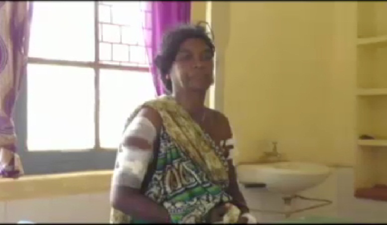 भालू के हमले से महिला गंभीर रूप से घायल