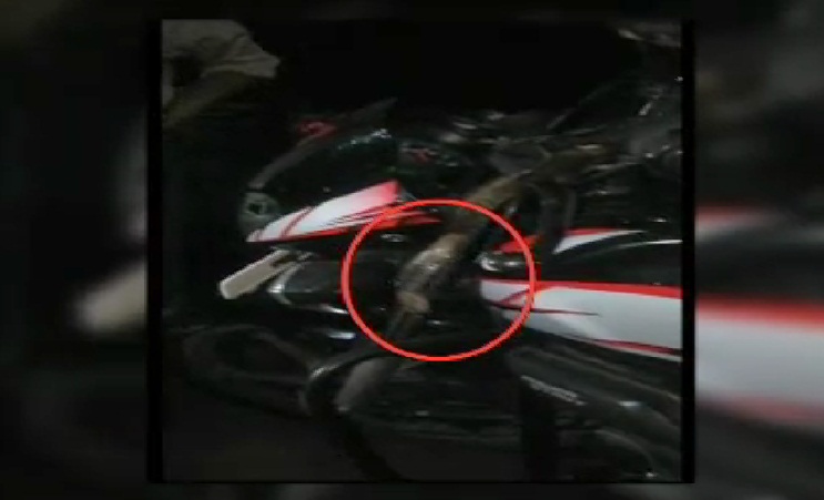 पेट्रोल टैंक में सांप !