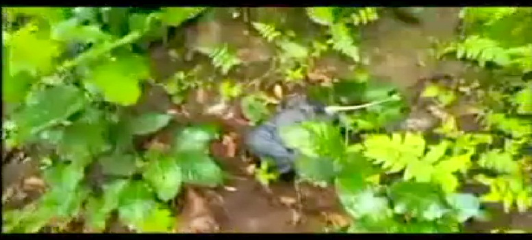 बलरामपुर जिले में लाल आतंक की सुगबुगाहट से सक्रिया हुई पुलिस