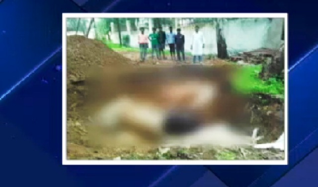 छग: गायों की मौत मामले में 9 अधिकारी निलंबित