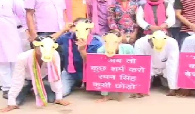 गायों की मौत पर सियासत, प्रदेशभर में जोगी की पार्टी का प्रदर्शन