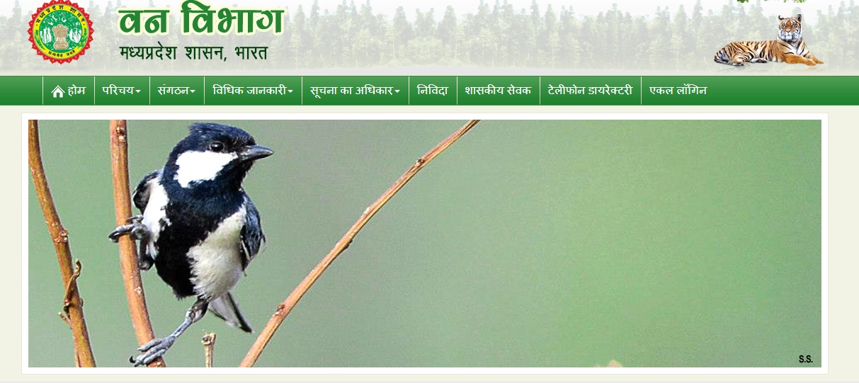मप्र वन विभाग की नकली वेबसाइट बनाकर लाखों ठगे