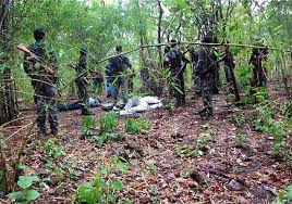 नक्सलियों पर जोरदार प्रहार, 4 इनामी सहित 6 नक्सली ढेर