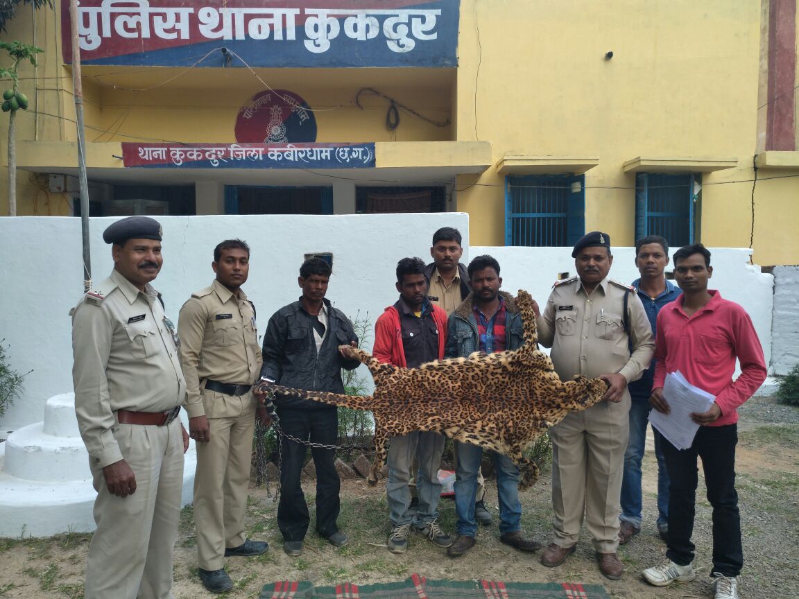 भोरमदेव अभ्यारण्य में तेंदुआ का हुआ शिकार