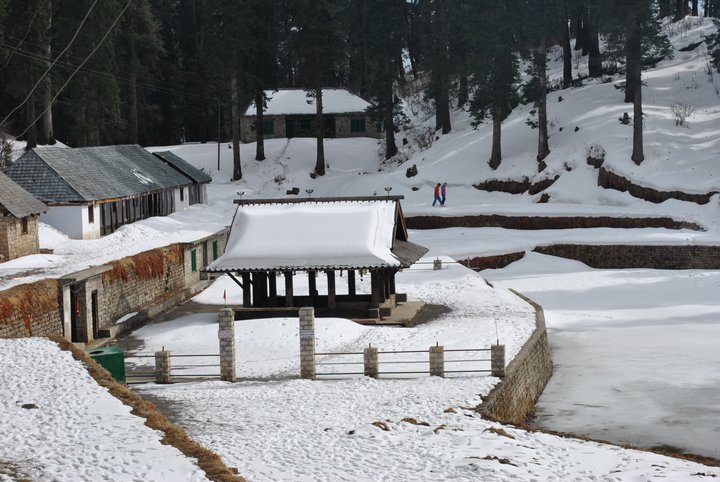 हिमाचल में बर्फबारी कमरूनाग मंदिर जाने  पर भी लगी रोक