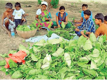 14 साल की उपलब्धि गिनवाने में जुट गए डॉ रमन