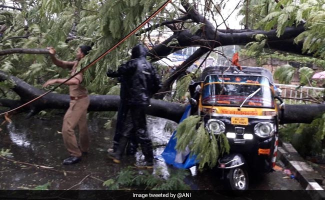 दक्षिण भारत में “चक्रवाती तूफान ओखी” का कहर, वीडियों में देखें तबाही का मंजर