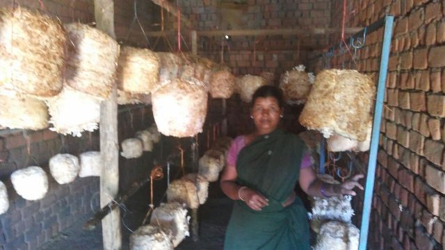 महिला समूह ने मशरूम उत्पादन को बनाया अतिरिक्त आय का जरिया