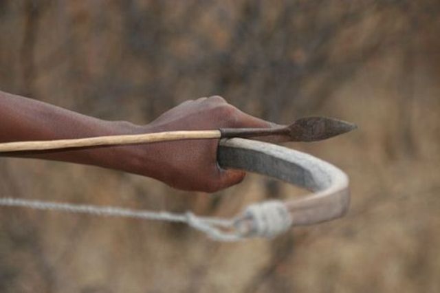 धनुष-बाण से लैस आदिवासी पहुंचे वन विभाग के दफ्तर, मचा गया हड़कंप