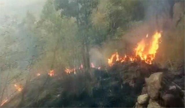 तमिलनाडु के जंगल में फैली आग, ट्रैकिंग पर गए 9 छात्रों की मौत