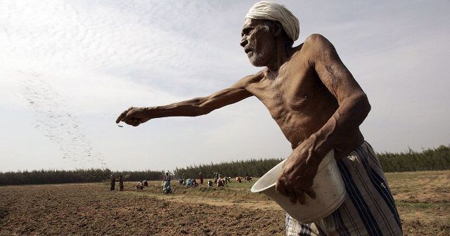 साल भर की मेहनत में किसान हफ़्तेभर भी खाना नहीं खा सकता?
