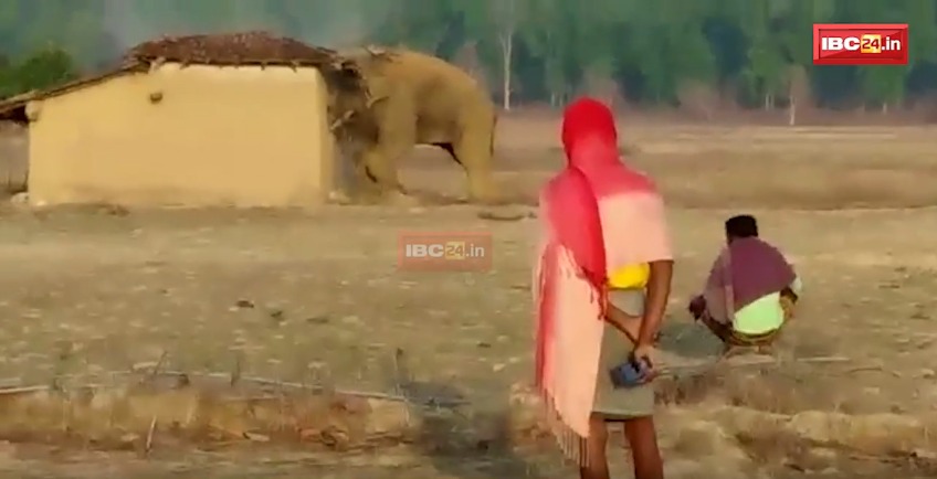 छत्तीसगढ़ के सूरजपुर में हाथी घर तोड़ता रहा और लोग देखते रहे