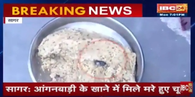 ये क्या! आंगनबाड़ी के बच्चों की खिचड़ी में थे 4 मरे चूहे