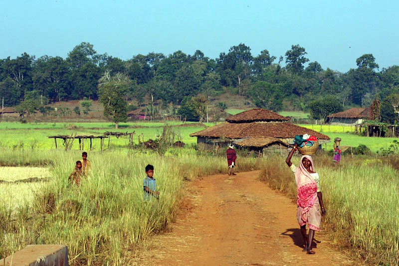 पेसा एक्ट में शामिल ग्राम पंचायतों में होंगी विशेष ग्रामसभाएं, CM ने ग्रामीणों से की जुड़ने की अपील