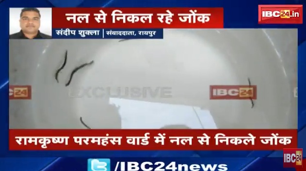 निगम के नल से जोंक निकलने से हड़कंप