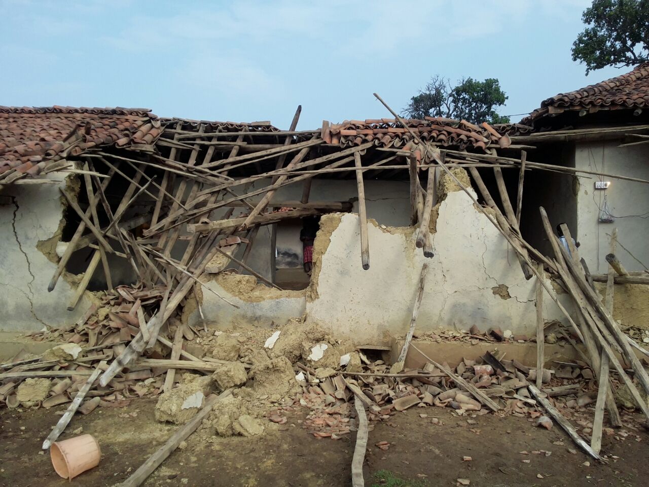 मैनपाट में हाथियों का उत्पात, 15 घरों को किया तबाह ..दहशत में लोग