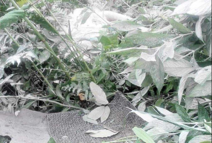 कार खाई में गिरी, हादसे में 4 लोगों की मौत