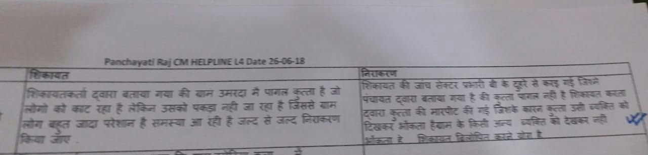 कुत्ते की सीएम से शिकायत, जांच में मिली क्लीन चिट, शिकायतकर्ता की निकली गलती, जानिए माजरा 