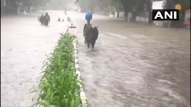 मुंबई में 3 दिन से जोरदार बारिश, गुजरात के इस शहर में 13 घंटे में गिरा 13 इंच पानी