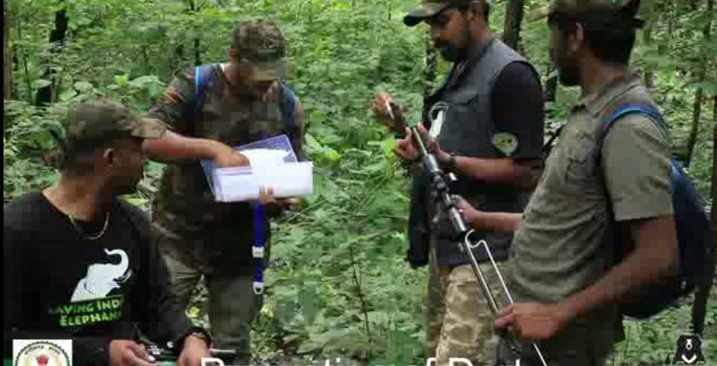 मदमस्त हाथियों को पहनाया गया रेडियोकालर, ग्रामीणों ने ली राहत की सांस