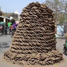 अब गाय के गोबर से बने उपल भी ऑन लाइन मिलेंगे