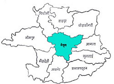 जंगली जानवरों का हमला, 30 पशुओं की ली जान