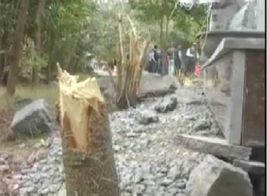 उज्जैन: सिंहस्थ के लिए पेड़ों की कुर्बानी