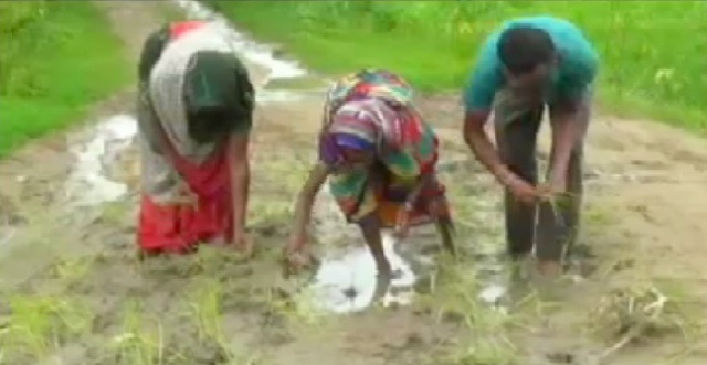 कोरबा: IBC24 की खबर का असर, किसानों से जबरन वसूली मामले में कार्रवाई